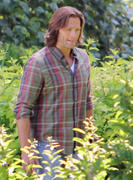 http://img7.imagevenue.com/loc600/th_369705137_On_the_set_of_Supernatural_ssn8_12_122_600lo.jpg